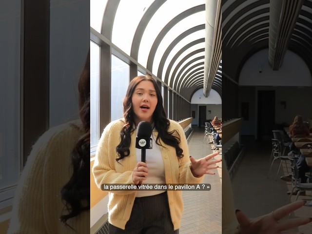 Meilleurs endroits pour étudier | La minute UQAM