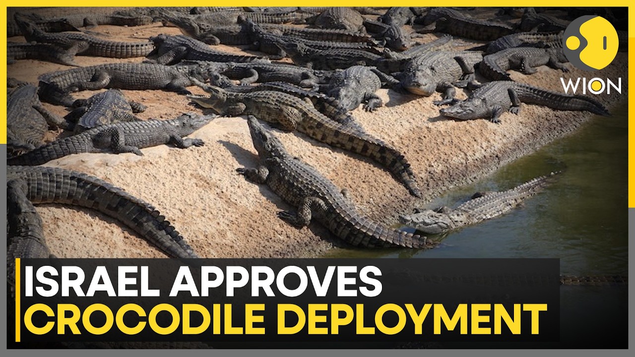 Israel Approves Crocodiles to Deter Prison Escapes | WION News