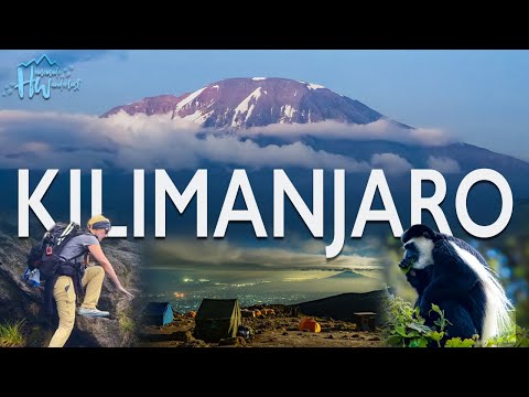Climbing Kilimanjaro