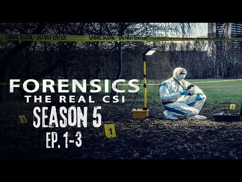 *NEW* Forensics: The Real CSI Season 5 | Episode 1-3 (True Crime Documentary)