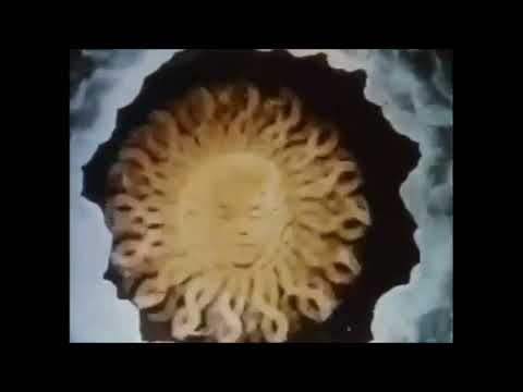 Jordan Peterson Terence McKenna on thinking in words or pictures(GMTA3)