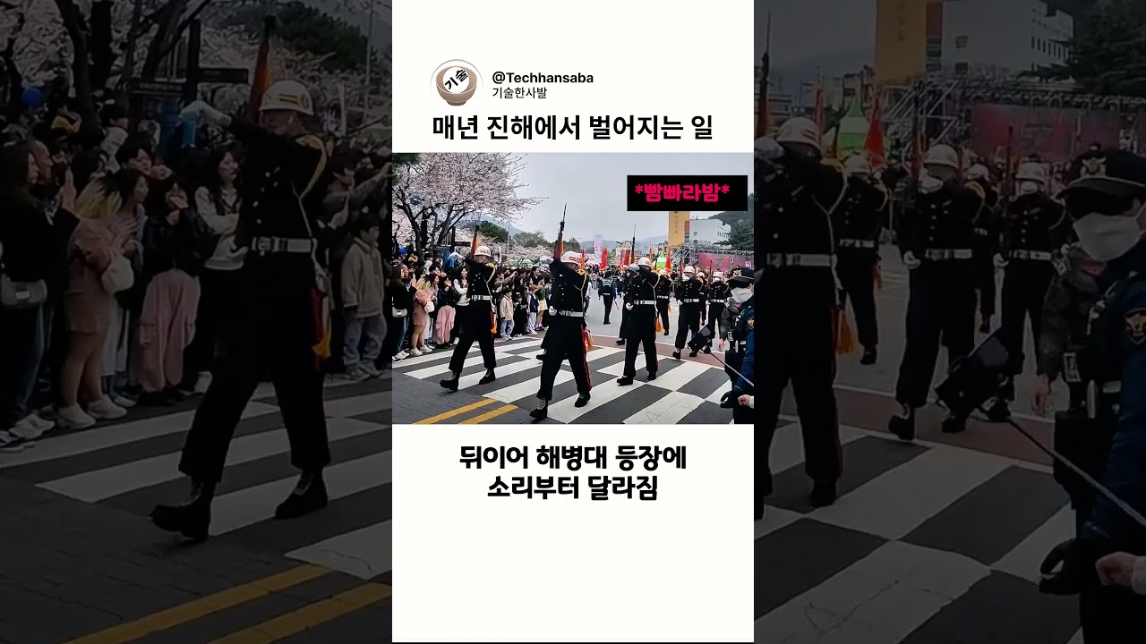 팔각도와 보폭으로 보는 한국 의장대의 제식