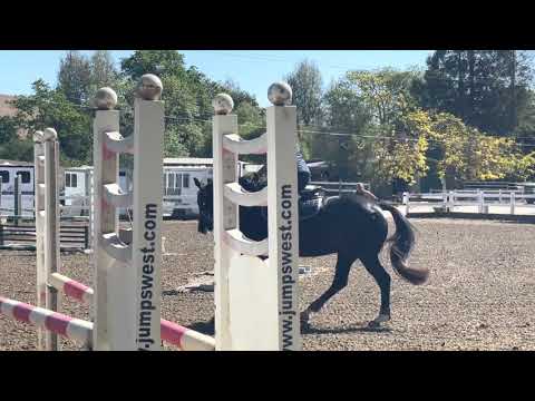 ALW Prince Ed 2021-0428