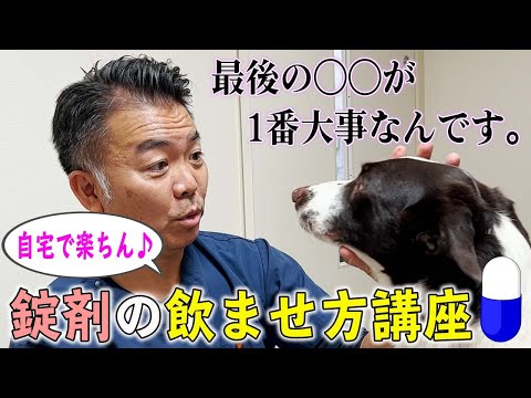 犬用パナキュア - 用量、使用法、副作用