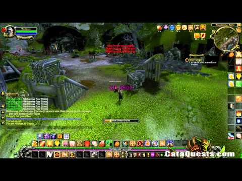 CataQuests.com - War Forage