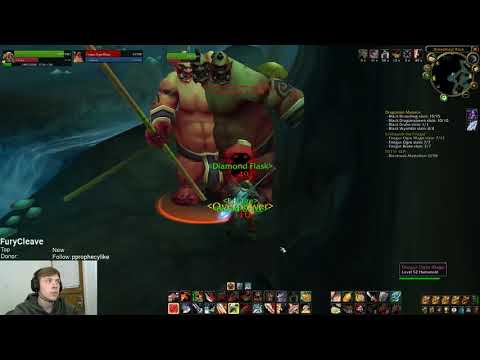 4000 Damage In a Single Cleave Classic Wow / Vanilla WoW