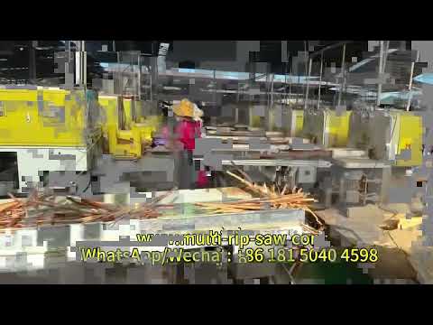 Production Line Contains Log Multi Rip Saw and Smart Edge Trimmer for Blockboards Barecore Pallets