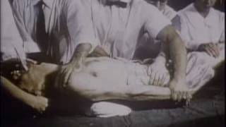 TX:Pandaemonium - D.A. Therrien: Machines for a New Inquisition