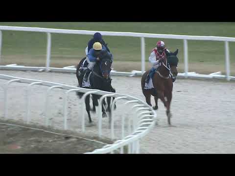 2021.11.28. 04. futam - BOGÁCSI DÍJ - NYERETLEN KÉTÉVESEK VERSENYE (IV.kat.) (szintetikus pálya)