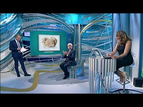 Attenti al Lupo del 2 ottobre 2019 - Stagione dei funghi: consigli per un corretto consumo