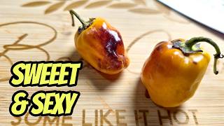 This Pepper is CRAZY Sweet!