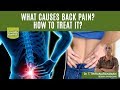 What Causes Lower Back Pain Simple Remedy Doctor Tips