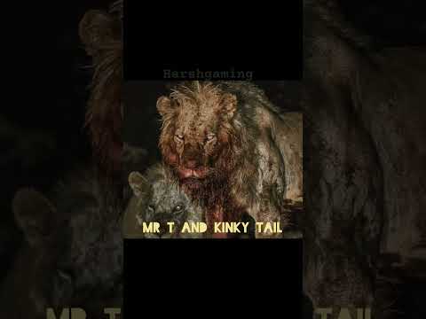 THIS DEADLIEST DUO💀☠️|| MR T & KINKY TAIL|| PART OF KING MAPOGO|| SCARIEST LIONS OF MAPOGO PRIDE||