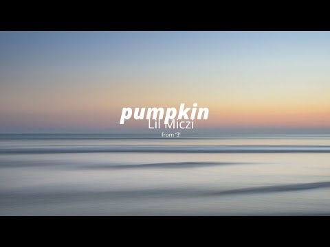 Lil Miczi - pumpkin