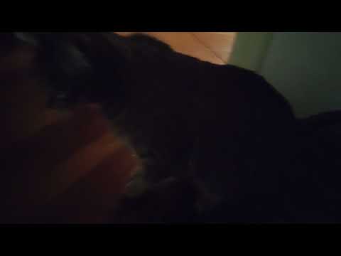 mi sdraio 💛🧡💚🤍💚🧡🤍💚🧡🤍💚🧡🤍❤️💕💗💗💗♥️♥️♥️♥️♥️♥️♥️