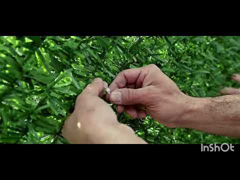 Сетка для забора 1.8 метра зеленая пвх декоративная изгородь - фото 8 - id-p2133739365
