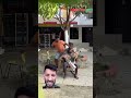 El ‍ ️ ‍ ️ Dormilón New Funny Video Part1 Viral Funny Travieso Comedy