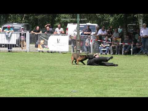 Highlights KNPV Keuring Glanerbrug  juli 2021