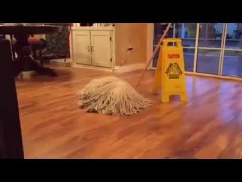 download lagu mp3 mp4 Chien Moppe, download lagu Chien Moppe gratis, unduh video klip Chien Moppe