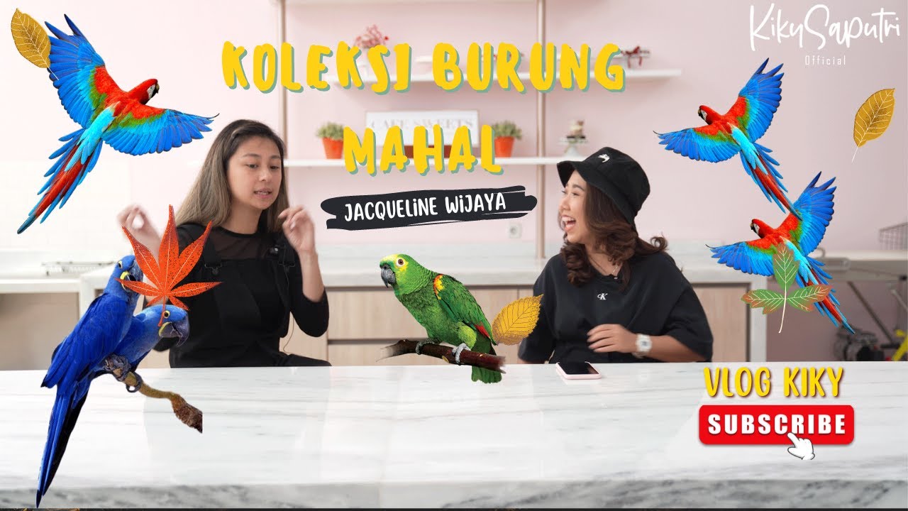 youtube image