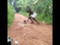 Paambu Comedy Video Funny Snake Video