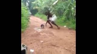 Download lagu Paambu comedy video Funny snake video mp3 Download lagu Paambu comedy video Funny snake video mp3