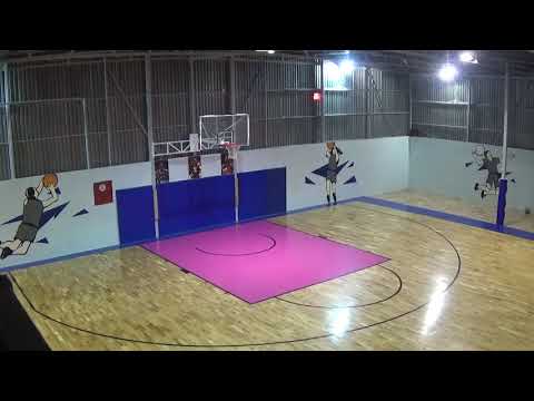 pistols vs bookmakers 48-50 new progressive