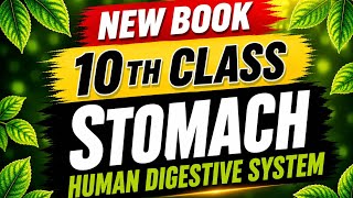 Pyloric and cardiac sphincter || 10th class Biology stomach chapter1 human digestive system new book
