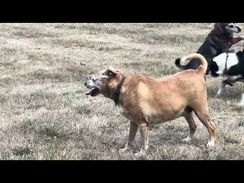 13 de octubre de 2025