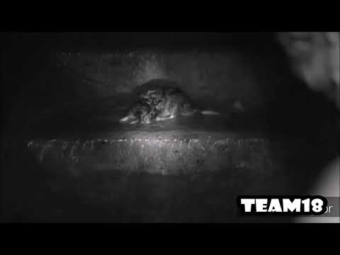 Serious B.I.G - Ready to die [Bereit zu Sterben] ~(Musikvideo)