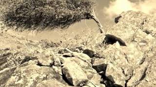 Lhasa de Sela - Small song