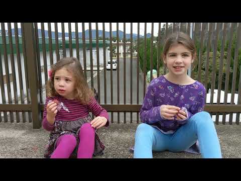 Pickled Plums and Mystery Snack - Sasebo, Nagasaki, Japan