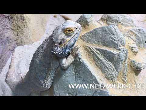 Du kannst dich vor Gott nicht verstecken (58 sec)