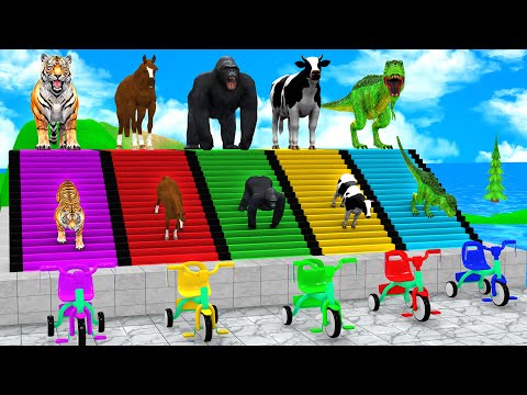 Long Slide Game with Cow Elephant Gorilla Hippopotamus Tiger 3d Animal Game Funny 3d Animals