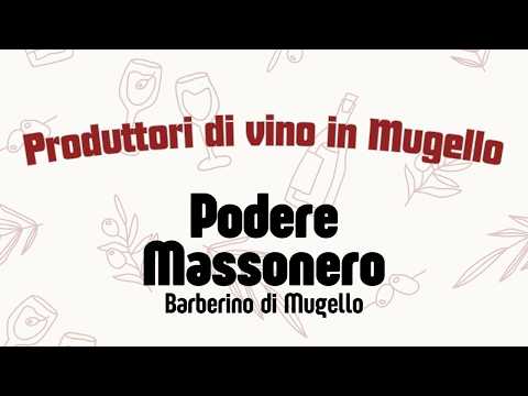 The Mugello of good wine. The Massonero Estate