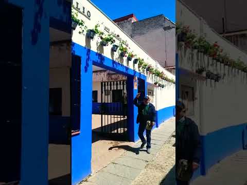 Entre Murmullos y Laurel: La Belleza Oculta del Barrio de San Basilio,Cordoba (Andalucia)