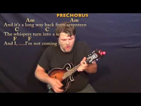 Bored to Death (Blink 182) Mandolin Cover Lesson with Chords/Lyrics