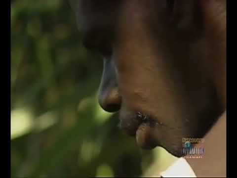 Ray Mears' World Of Survival S01E02 - Arnhemland