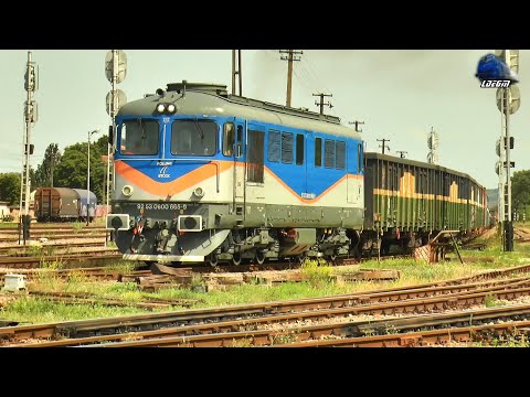 Locomotiva 060-DA 60-0665-9 cu Mecanic de Treabă în Acțiune în Gara Episcopia Bihor - 21 Iunie 2024
