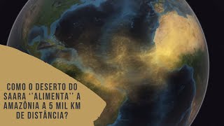 Como o Deserto do Saara Alimenta a Amaznia a 5 mil km de distncia