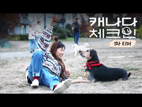 [티저] Remember me? 효리와 개의 특별한 이야기가 찾아옵니다 | 캐나다 체크인 예고편