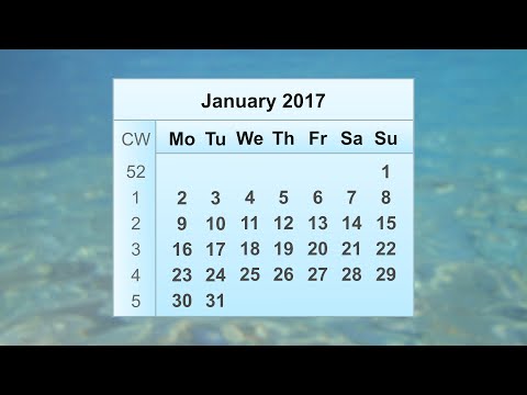 January 2017 Calendar