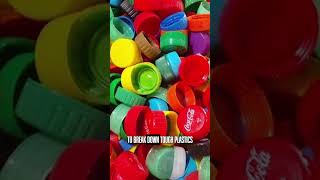 Your plastic trash could soon fuel your car — here’s how!