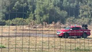 Nuovo incendio nella riserva Ciane e Saline