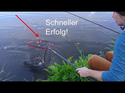 Short evening fishing trip for perch and zander!