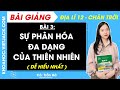 Địa lí 12 Bài 3: Sự phân hoá đa dạng của thiên nhiên | Chân trời sáng tạo