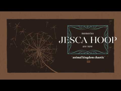 Video thumbnail for Animal Kingdom Chaotic