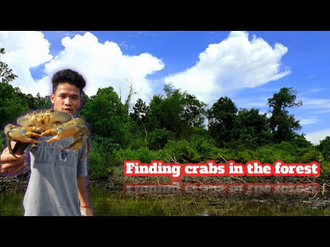 Catch And Cook Sea Crab the Beach-Crab Cooking on Sand[MrrSomPheaP]