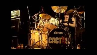 Muscle and Soul - Cactus Live in Tokyo