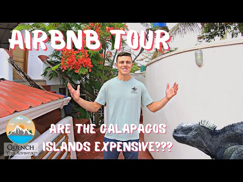 HOW TO VISIT THE GALAPAGOS ISLANDS ON A BUDGET | Flights, Lodging, How To Get There